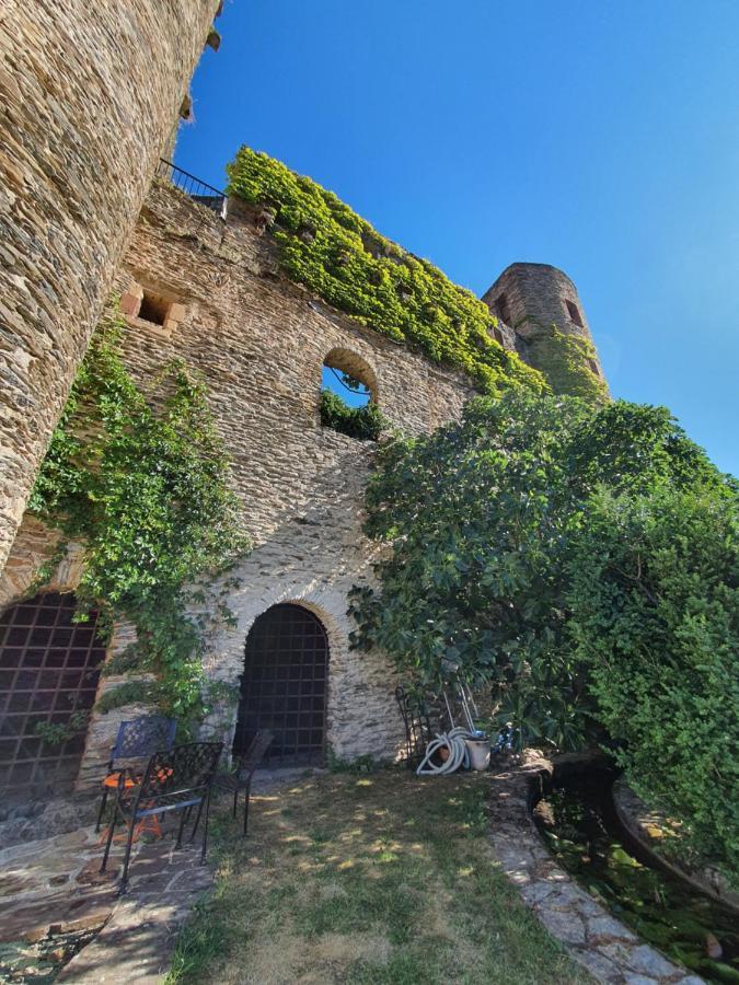 Bed & Breakfast D'hotes Au Chateau De Belcastel