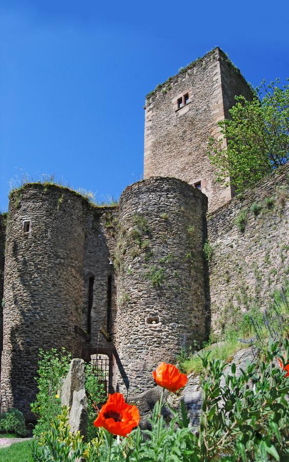 Bed & Breakfast D'hotes Au Chateau De Belcastel